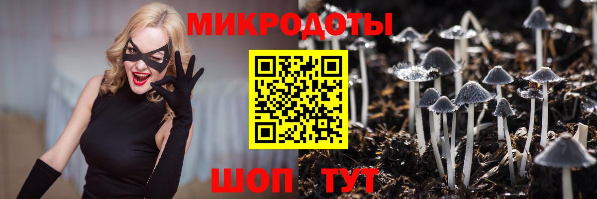 цена наркотик  Псилоцибиновые грибы Magic Shrooms  Вход с VPN  Галлюциногенные грибы Psilocybine cubensis  Серпухов 